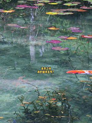 #莫奈 #莫奈的睡莲 莫奈之池真的值得去吗？