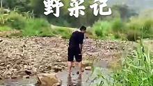 户外野采找鱼缸造景素材！农家美食、野钓路亚、捉田螺、摘野菜一样都不能错过！