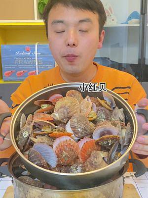 新鲜肥美的小红贝，家人们不要错过！#扇贝 #海鲜 #新农人计划