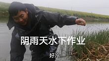 养殖小龙虾工作也不少，一边割水草一边谈养虾，新手养虾需谨慎