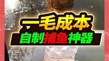1毛成本自制捕鱼神奇，村边臭河塘钓鱼被排挤，一次竟抓了38条鱼 #宠物 #河边野采 #自制捕鱼装备