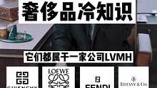 这家奢侈品集团，控制了市场上%90的奢侈品，话语权和定价权。#lv #奢侈品