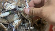七沟码头的海蛎子，南姜码头近海捕的当地海鲜，看看现在螃蟹咋样