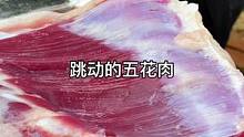 会跳舞的猪肉#跑山猪 #藏香猪 #原生态食材