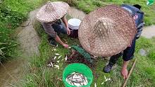 连续3天大雨，鱼塘跑鱼了，附近村民都跑来抓鱼，很过瘾