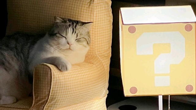 沙发上的白日梦