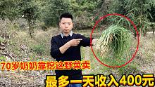 70岁奶奶靠去田里挖这种野菜卖，一天收入400元，真是太轻松了