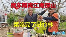 7人房车隔离江南深山，菜吃完了进竹林找美食收获满满
