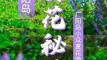 按YQ现在的发展，清明小长假可以安排起了  #广阳岛 #重庆美好推荐官 #清明小长假