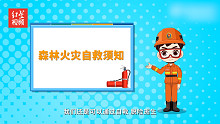 森林草原防火季：森林火灾自救须知