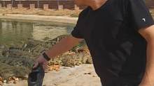 鳄鱼都是吃皮鞋长大的？#鳄鱼养殖场 #源头工厂