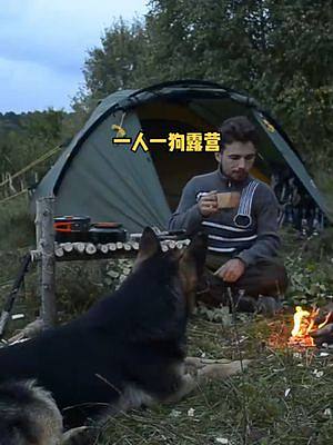 一人一狗独自山中露营野餐。（野生蘑菇谨慎食用！）#户外 #露营 #户外露营 #户外生活 #森林 #户