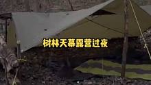 独自户外树林天幕露营野餐过夜。#野营 #露营 #露营⛺ #户外露营 #户外 #户外生活 #户外野餐 
