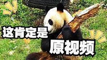 这肯定是原视频！
