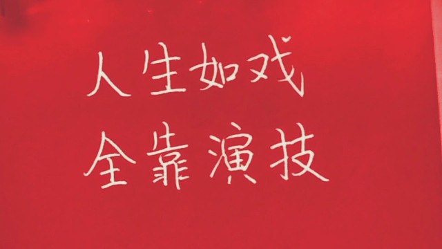 人生如戏全靠演技