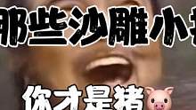 【吐槽】那些沙雕小技巧，你才是猪