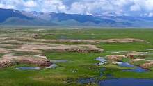 一定要在夏天来一次新疆巴音布鲁克 这里不止有辽阔的草原 还有雪山脚下广阔无垠的湿地景观#旅行推荐官 