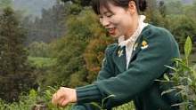 尽我所能，力我所及！每次看到乡亲们的笑容我心里特别的甜！#我为家乡代言 #茶是春天的仪式感 