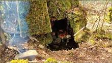 丛林徒步旅行，和狗子在树洞庇护所过夜#户外#露营#野外生存#野外生活#庇护所#解压#助眠 