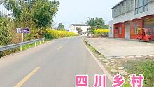 实拍四川小山村，家家户户有猫有狗有院子，生活环境真好