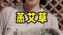 可算让我逮到了一次摘艾草的机会，做青团没用完的艾草，咱也别浪费，顺手桌上就多了一道菜 #艾草 #春天