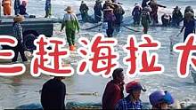 湛江南三岛现“海洋奇观”，沙滩遍布海蜇，吸引大批村民前来围观 #渔民生活实拍 #带你去看海 #海边生