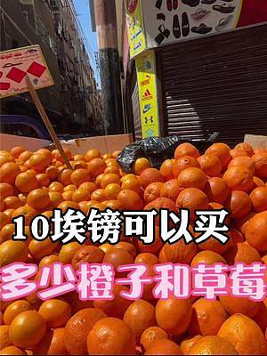 中国小姐姐旅居埃及卢克索，花10埃镑居然可以买这么多橘子和草莓 #vlog日常