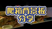 #爬宠造景 #造景 #蜥蜴 #爬宠 #鬃狮蜥 分享几个爬宠箱背景板的制作方案