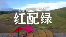 红配绿，也洋气#露营报告 #户外 #露营 #户外露营 