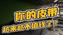 以前买一条鳄鱼腰带几千块，现在买一条才…几百块？#源头工厂 #鳄鱼养殖场 