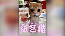 猜你喜欢：纸艺猫