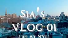 【纽约大学】Weekly VLOG（下）｜Life At NYU｜学习｜生活｜护肤 #生活碎片 #v
