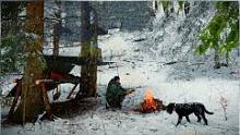 丛林露营，快速搭建离地庇护所，一个人在狂风暴雪中过夜#户外#露营#解压#助眠#治愈#庇护所#野外建造