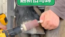 翻新旧马蹄 #修蹄钉掌 #小海豹钉蹄 #解压