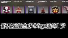 csgo勋章收集.艾特你只会rush.b的兄弟来看吧～#csgo #csgo皮肤 #csgo勋章