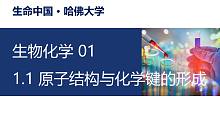 【生物化学】1.1 原子结构与化学键的形成