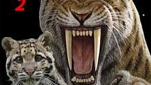 猫科祖先是什么动物？被犬族压制的1000万年里，猫族如何猥琐发育？#动物知识 #动物科普 #猫科 #