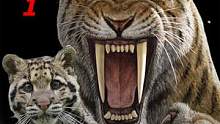 猫族首次崛起，被犬族击败，原因竟是因为太挑食？#动物知识 #动物科普 #猫科 #老虎 #猛兽 