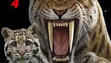 猫科为什么能逆袭犬族？因为它是兽中之王的天选之子#动物知识 #动物科普 #猫科 #史前生物 #老虎 