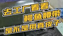 来工厂看看，一张皮子到底能裁几条皮带？#鳄鱼养殖 