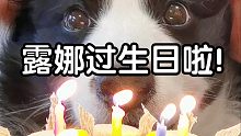 仙女下凡五周年纪念日啦！