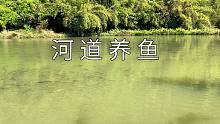 大叔租2公里河道搞水产养殖，一年租金才5000，能养3万尾鱼