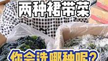 就这样两种品质的裙带菜，你会选择哪一种呢？#源头好生鲜 #宅家抖出美好生活 #海鲜原产地 #裙带菜