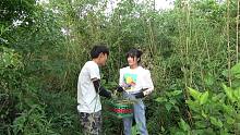 丈母娘想吃竹笋，小明和小丫一起到竹林采摘，收获满满一篮
