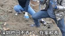 深圳回不去了，在家和表妹挖点天麻卖算了