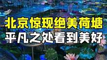 被朋友艾特一起去看荷塘是件超开心的事儿！