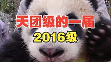 2016天团级的一届，现在基本都为熊父母了！
