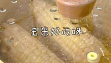 还是黄糯玉米好吃又嫩又糯我喜欢把它当主食