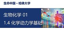 【生物化学】1.4 化学动力学基础
