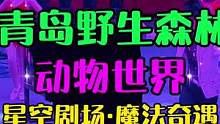 森林动物园新年游玩攻略！你知道魔术是怎么变得吗！#趣探索星空剧场魔法奇域 #趣青野V熊部落 #青岛新